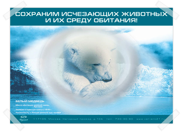 «Балтийская кольчатая нерпа» с заголовком «Сохраним исчезающих животных и их среду обитания!»